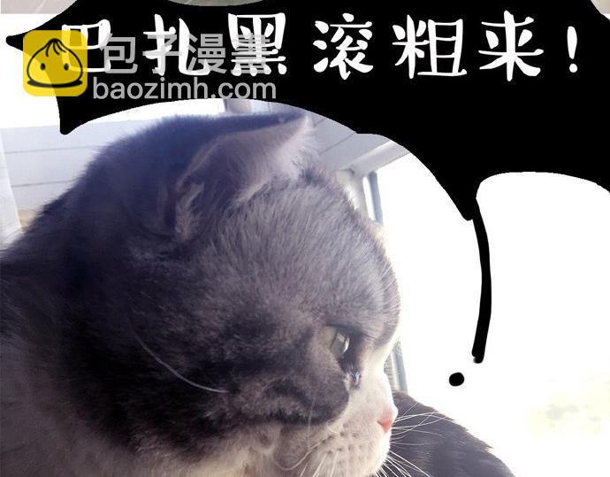 🍘吾皇巴扎黑 第26话 犯错你会卖萌求原谅吗 第16页