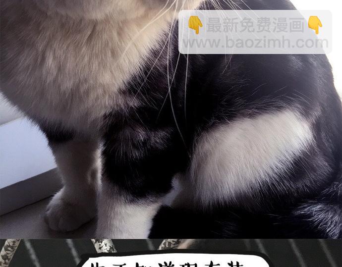 🍘吾皇巴扎黑 第26话 犯错你会卖萌求原谅吗 第17页