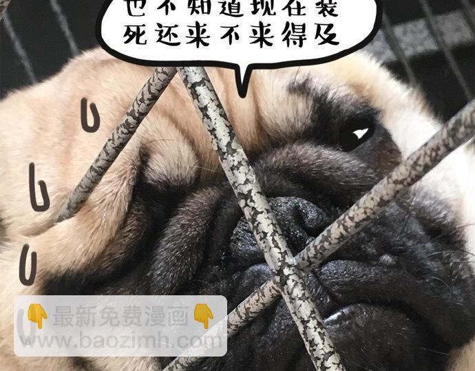 🍘吾皇巴扎黑 第26话 犯错你会卖萌求原谅吗 第18页