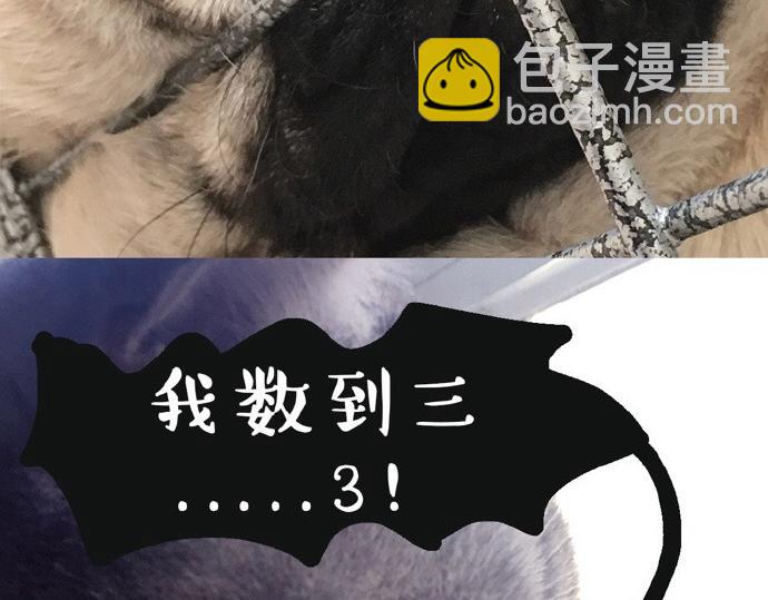 🍘吾皇巴扎黑 第26话 犯错你会卖萌求原谅吗 第19页