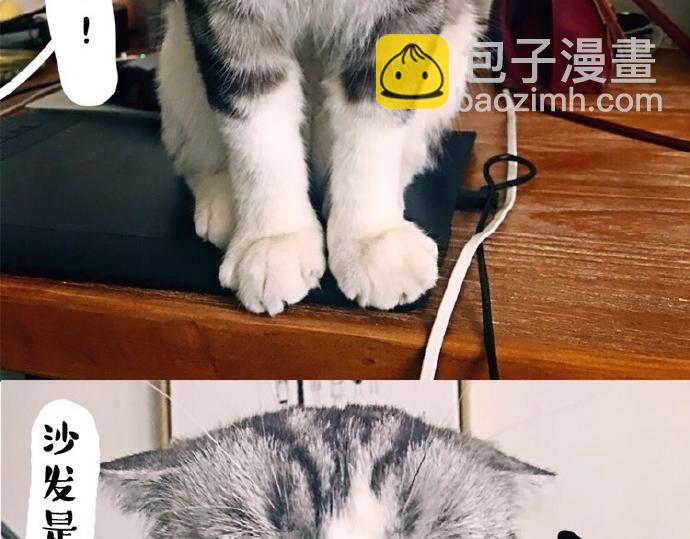🍘吾皇巴扎黑 第26话 犯错你会卖萌求原谅吗 第2页