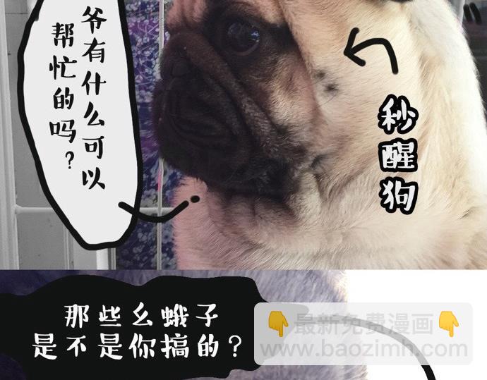 🍘吾皇巴扎黑 第26话 犯错你会卖萌求原谅吗 第21页