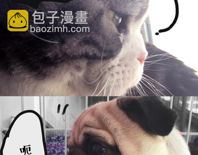 🍘吾皇巴扎黑 第26话 犯错你会卖萌求原谅吗 第22页