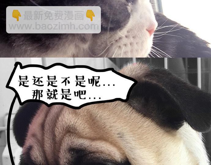 🍘吾皇巴扎黑 第26话 犯错你会卖萌求原谅吗 第24页