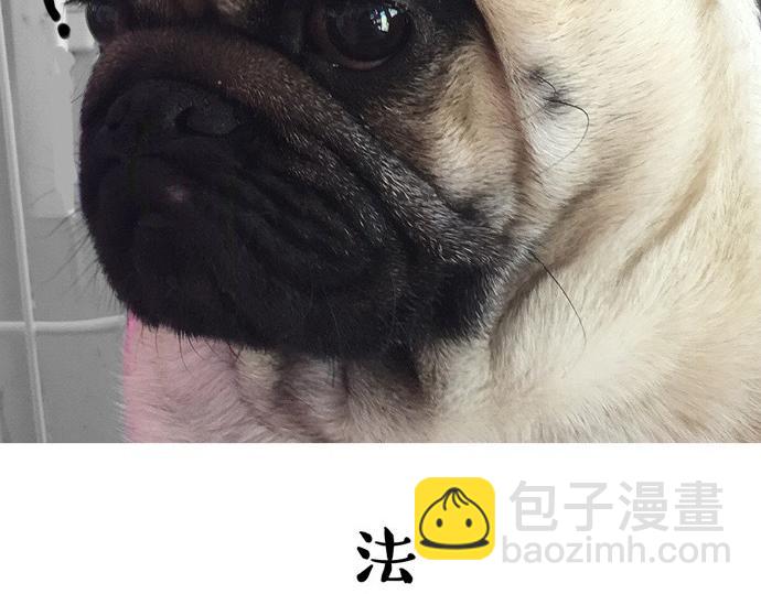 🍘吾皇巴扎黑 第26话 犯错你会卖萌求原谅吗 第25页