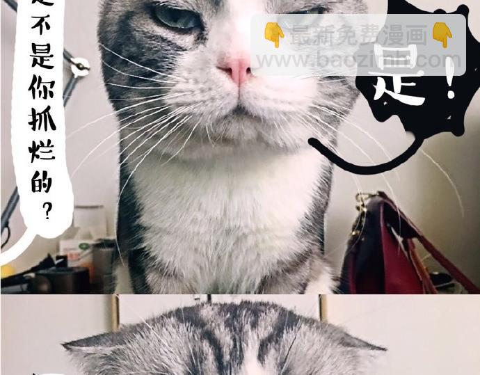 🍘吾皇巴扎黑 第26话 犯错你会卖萌求原谅吗 第3页