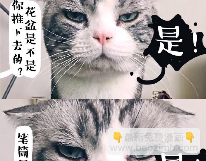 🍘吾皇巴扎黑 第26话 犯错你会卖萌求原谅吗 第4页