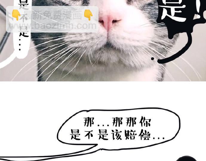 🍘吾皇巴扎黑 第26话 犯错你会卖萌求原谅吗 第5页