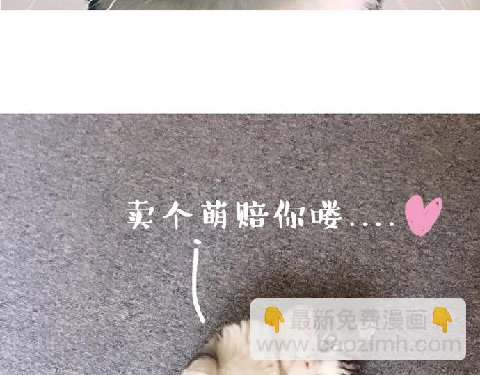🍘吾皇巴扎黑 第26话 犯错你会卖萌求原谅吗 第7页