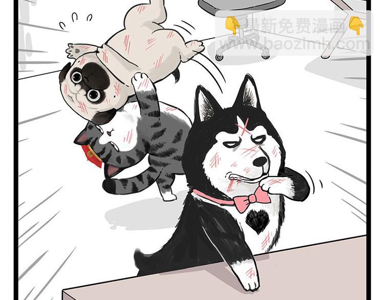 🍘吾皇巴扎黑 第254话 摔角大赛谁与争锋 第11页
