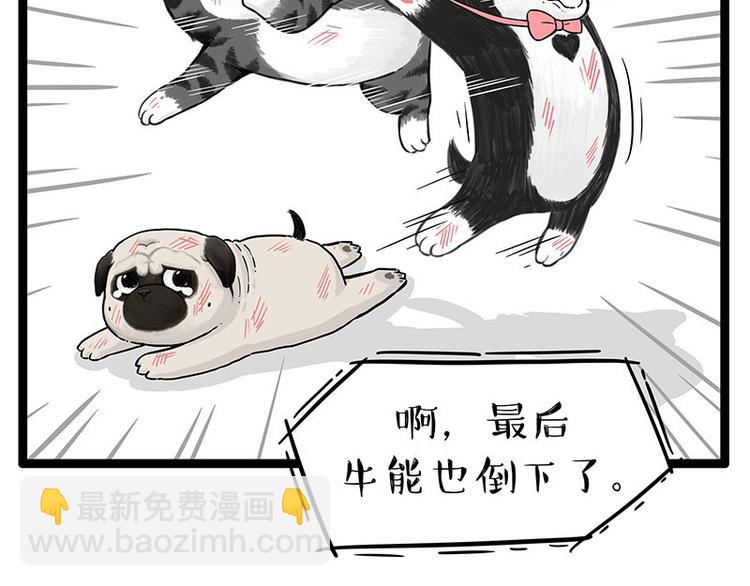 🍘吾皇巴扎黑 第254话 摔角大赛谁与争锋 第15页