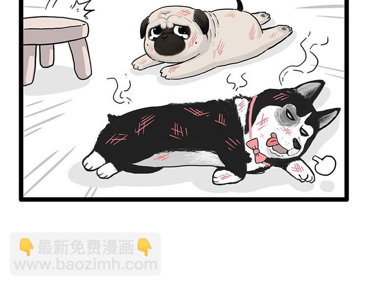 🍘吾皇巴扎黑 第254话 摔角大赛谁与争锋 第23页