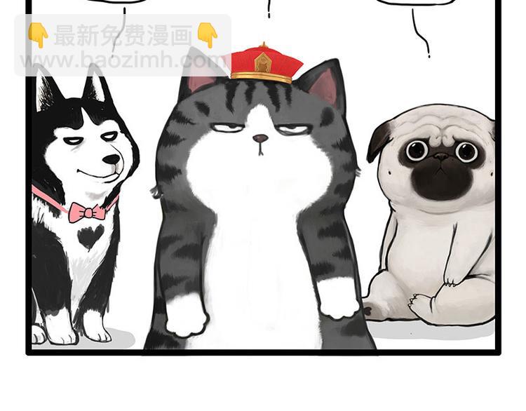 🍘吾皇巴扎黑 第254话 摔角大赛谁与争锋 第29页