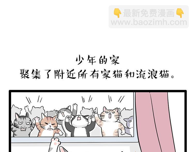🍘吾皇巴扎黑 第254话 摔角大赛谁与争锋 第30页