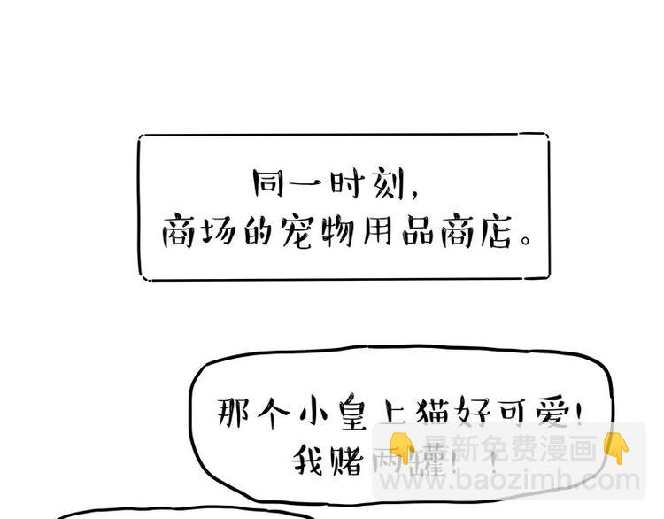 🍘吾皇巴扎黑 第254话 摔角大赛谁与争锋 第34页
