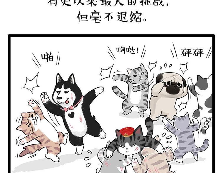 🍘吾皇巴扎黑 第254话 摔角大赛谁与争锋 第39页