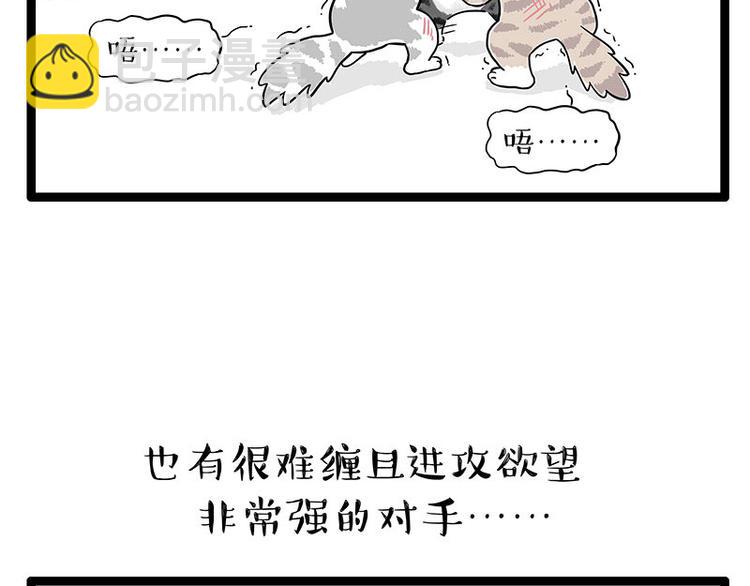 🍘吾皇巴扎黑 第254话 摔角大赛谁与争锋 第40页