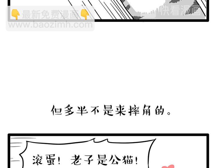 🍘吾皇巴扎黑 第254话 摔角大赛谁与争锋 第42页
