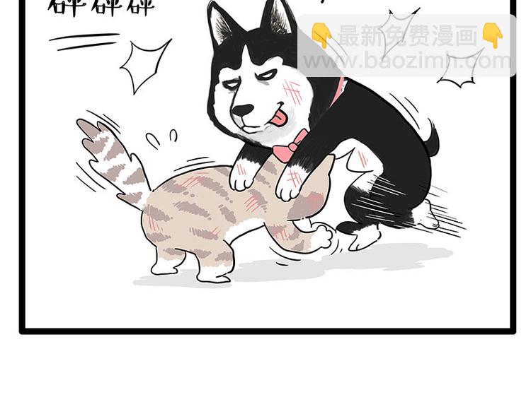 🍘吾皇巴扎黑 第254话 摔角大赛谁与争锋 第45页