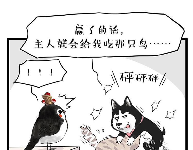 🍘吾皇巴扎黑 第254话 摔角大赛谁与争锋 第46页