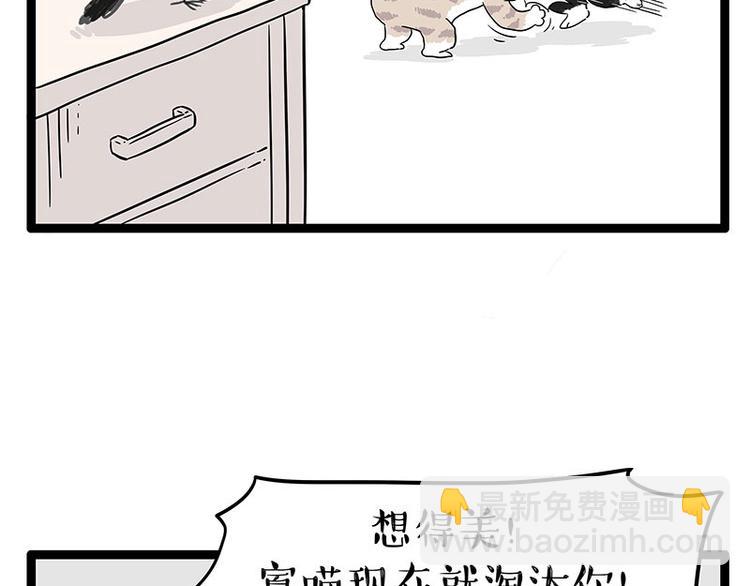 🍘吾皇巴扎黑 第254话 摔角大赛谁与争锋 第47页