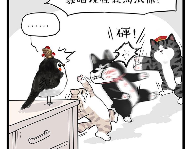🍘吾皇巴扎黑 第254话 摔角大赛谁与争锋 第48页