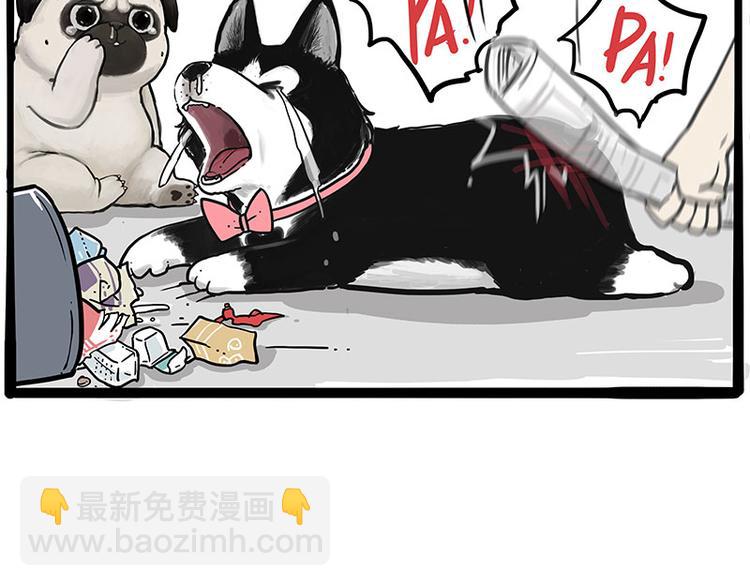 🍘吾皇巴扎黑 第256话 狗朋友 第12页