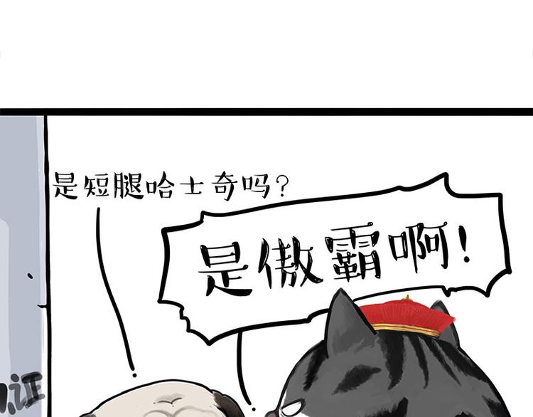 🍘吾皇巴扎黑 第258话 靠脸吃饭 第10页