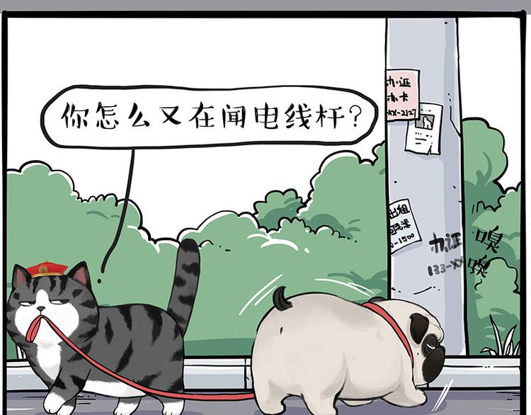 🍘吾皇巴扎黑 第258话 靠脸吃饭 第3页