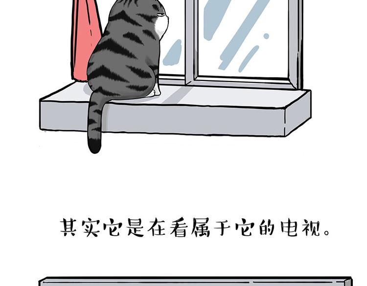 🍘吾皇巴扎黑 第260话 孤独解药 第18页