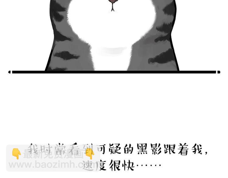 🍘吾皇巴扎黑 第260话 孤独解药 第22页