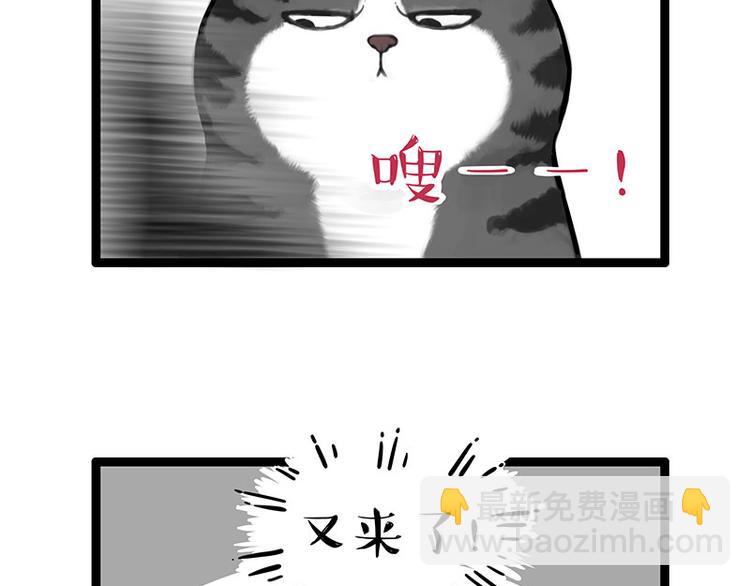 🍘吾皇巴扎黑 第260话 孤独解药 第25页
