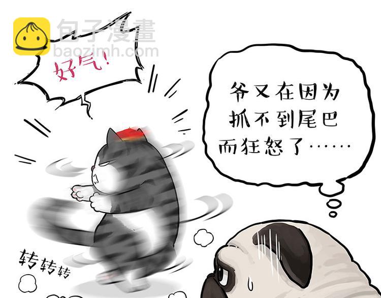 🍘吾皇巴扎黑 第260话 孤独解药 第36页