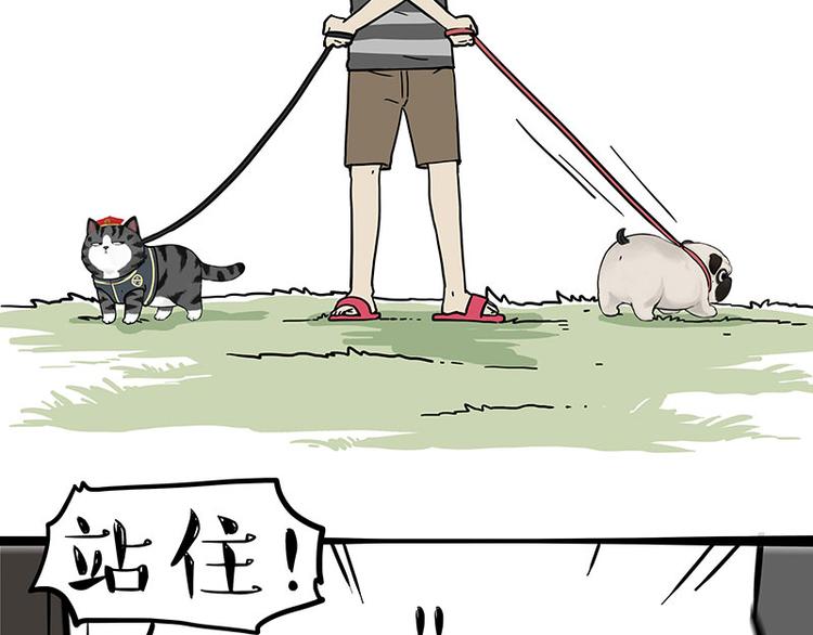 🍘吾皇巴扎黑 第262话 忠犬巴扎黑？！ 第13页