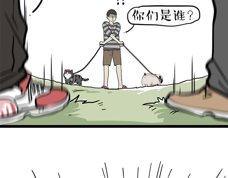 🍘吾皇巴扎黑 第262话 忠犬巴扎黑？！ 第14页