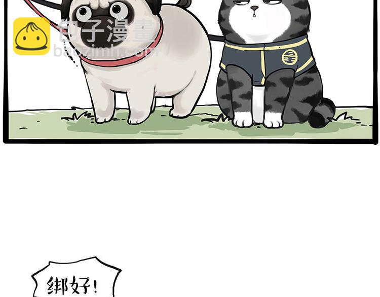 🍘吾皇巴扎黑 第262话 忠犬巴扎黑？！ 第21页