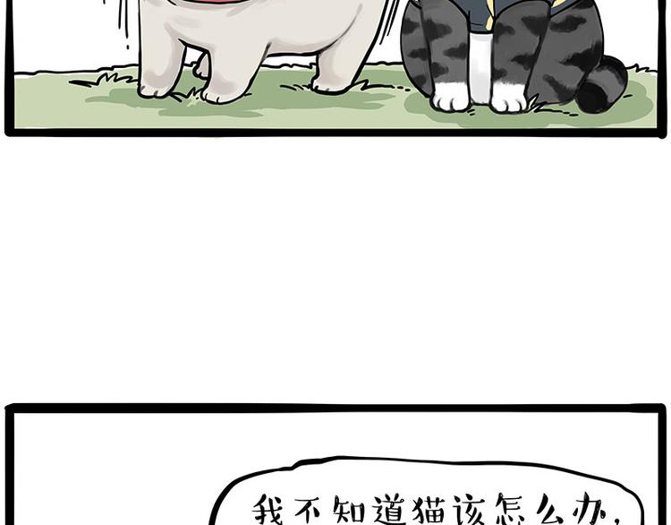🍘吾皇巴扎黑 第262话 忠犬巴扎黑？！ 第24页