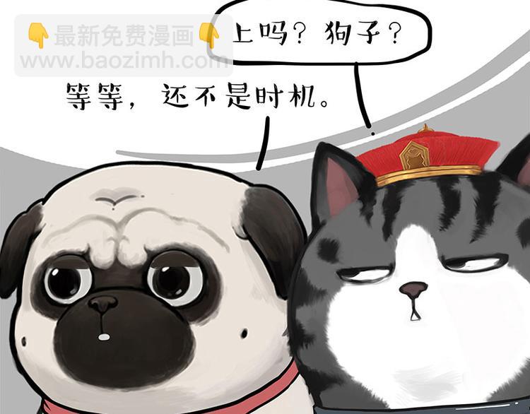 🍘吾皇巴扎黑 第262话 忠犬巴扎黑？！ 第31页