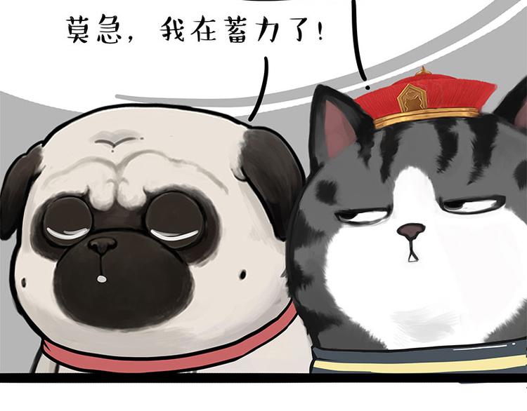 🍘吾皇巴扎黑 第262话 忠犬巴扎黑？！ 第34页