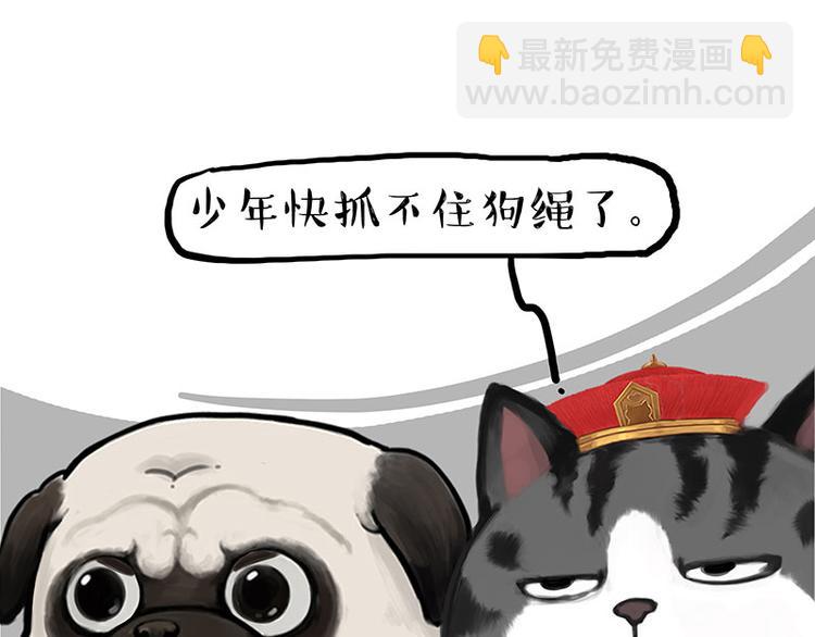 🍘吾皇巴扎黑 第262话 忠犬巴扎黑？！ 第43页