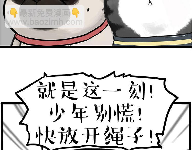 🍘吾皇巴扎黑 第262话 忠犬巴扎黑？！ 第44页