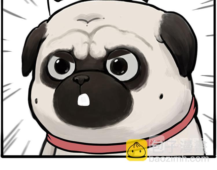 🍘吾皇巴扎黑 第262话 忠犬巴扎黑？！ 第45页
