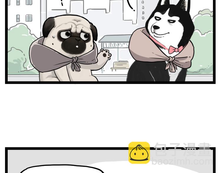 🍘吾皇巴扎黑 第264话 父愁者联盟！ 第11页