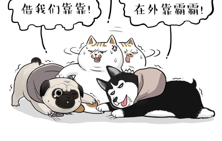 🍘吾皇巴扎黑 第264话 父愁者联盟！ 第14页