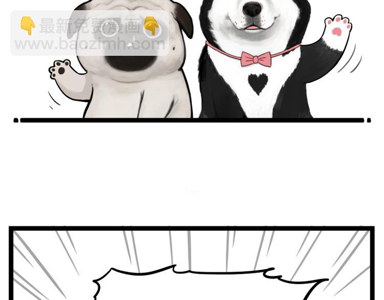 🍘吾皇巴扎黑 第264话 父愁者联盟！ 第2页