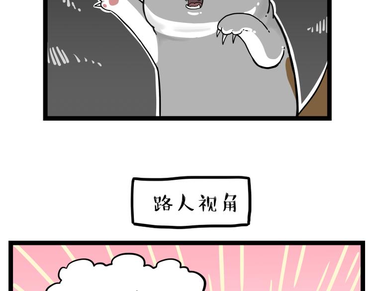 🍘吾皇巴扎黑 第264话 父愁者联盟！ 第39页