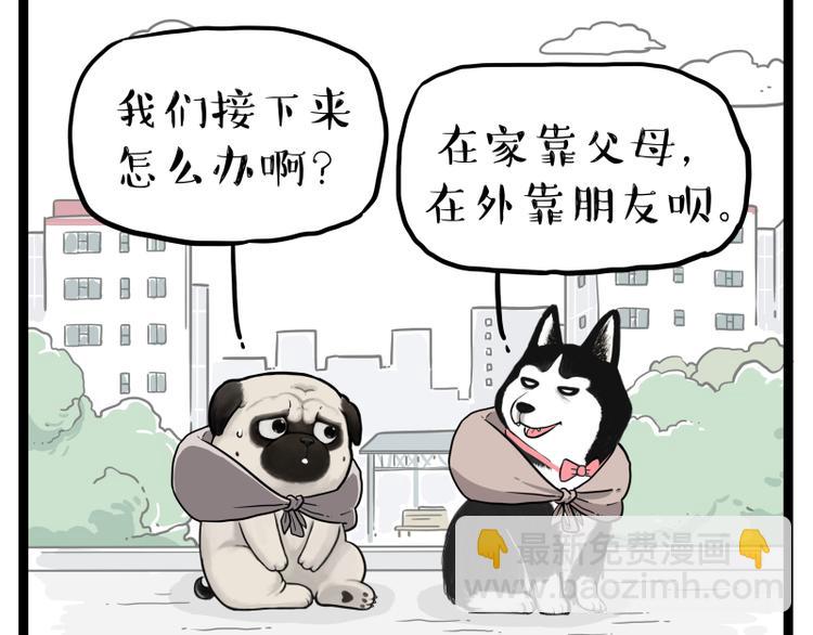 🍘吾皇巴扎黑 第264话 父愁者联盟！ 第9页