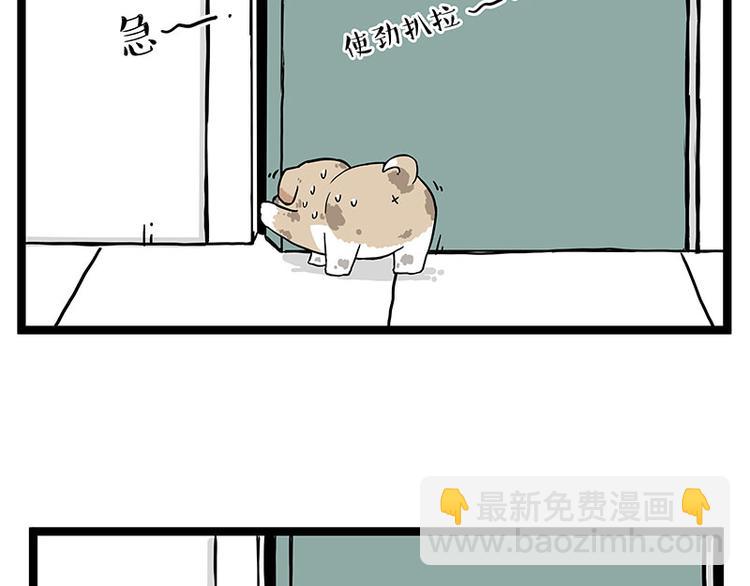🍘吾皇巴扎黑 第266话 我偷垃圾养你 第10页