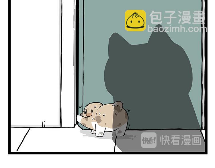 🍘吾皇巴扎黑 第266话 我偷垃圾养你 第11页