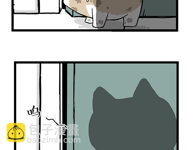 🍘吾皇巴扎黑 第266话 我偷垃圾养你 第13页